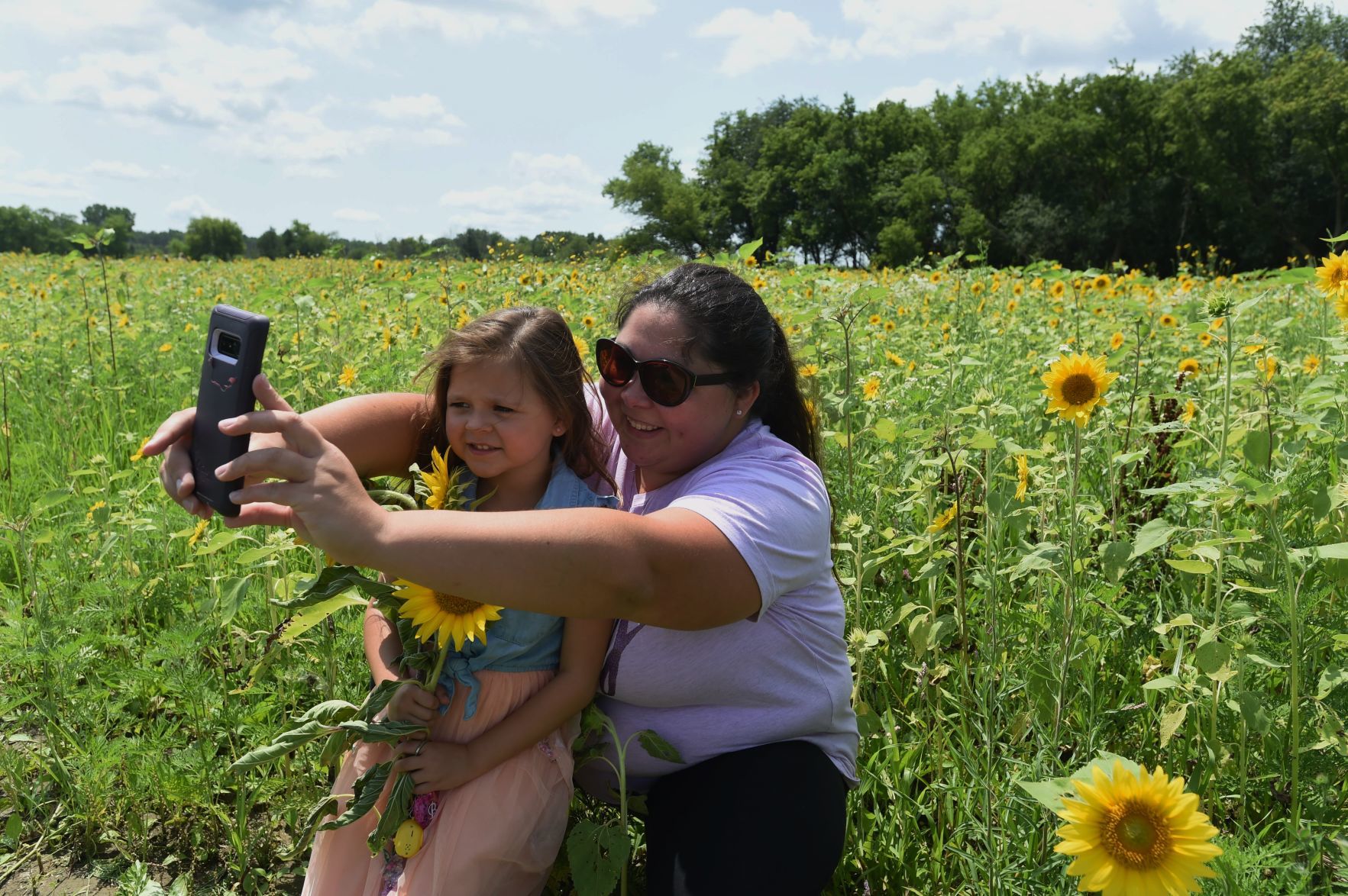 Sunflower selfie